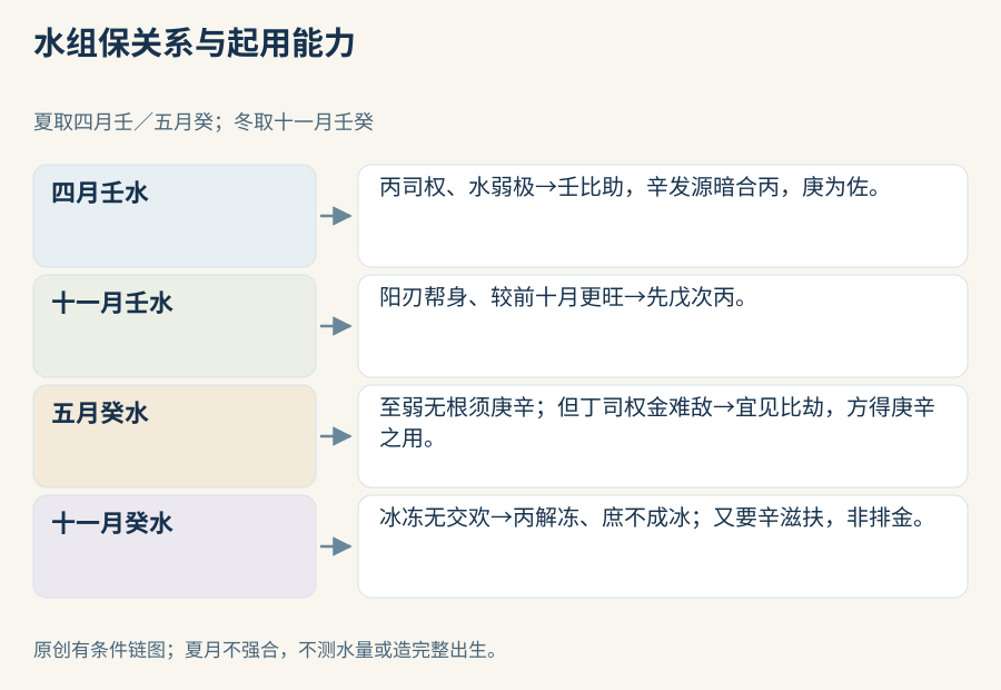 水组四条保存关系链:四月壬比助发源辅助各分,十一月壬保前十月参照与戊丙次序,五月癸保丁障碍及比劫资格,十一月癸保丙兼辛与庶的有限期望;不补实测水量或完整出生。